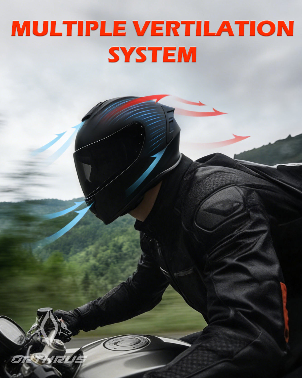 Orthrus Pit Bull Full Face Motorcycle Helmet DOT Certified