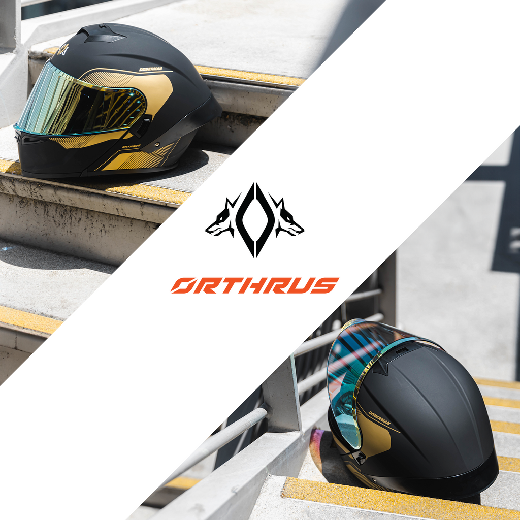 Motorcycle Helmets Modular Dot Approved Certified Biker Helmet With LED Spoiler Orthrus Dobermann Matte Black Gold
