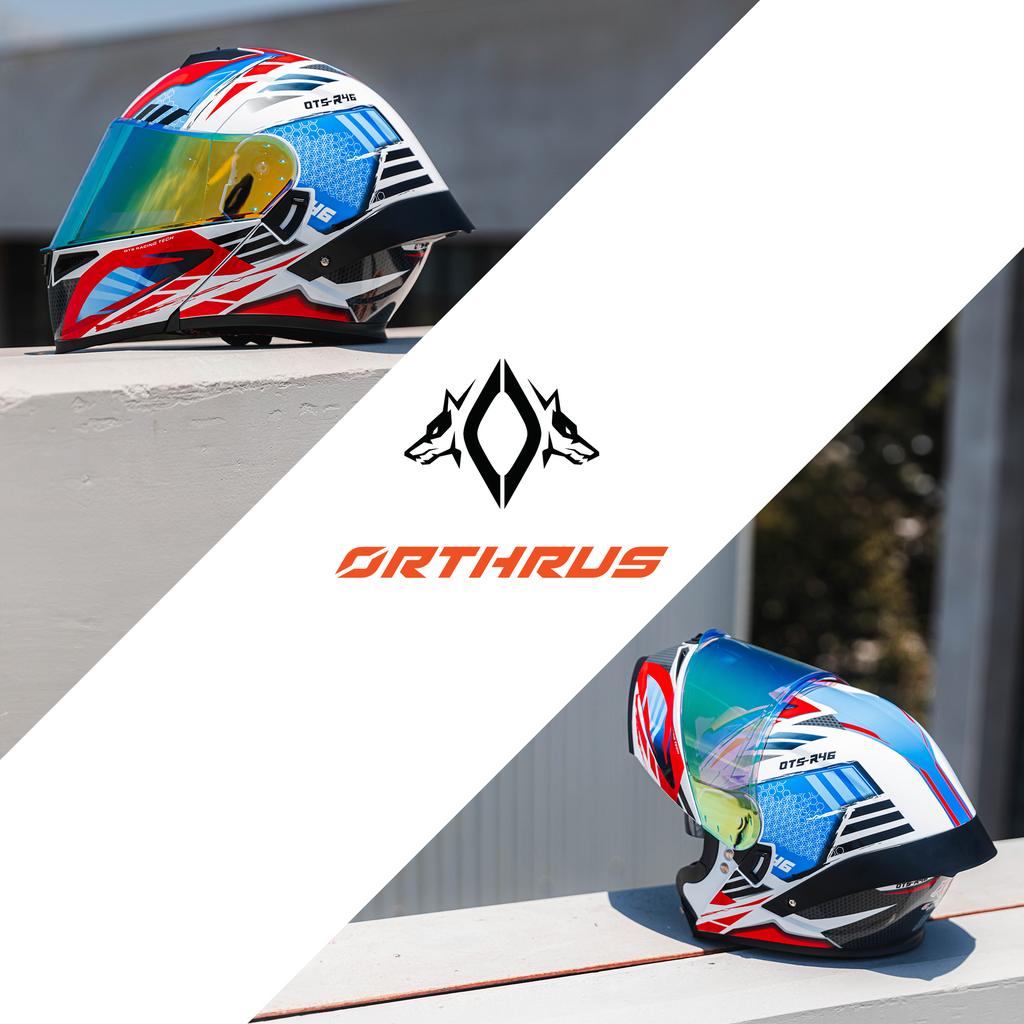 Motorcycle Helmets Modular Dot Approved Certified Biker Helmet With LED Spoiler Orthrus Dobermann R46